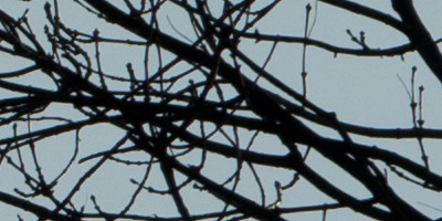 Sony SAL-70400G (70-400mm F4-5,6 SSM G)