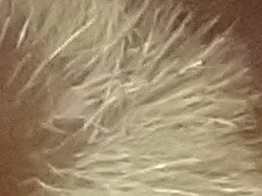 Sony Cyber-shot WX7: překoná skvělou WX5?