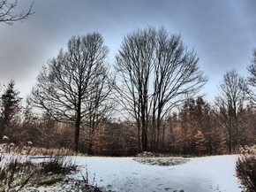 Panasonic Lumix LX7: kompaktní hvězda noci