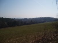 Olympus Camedia C-470 Zoom: Americký D-590