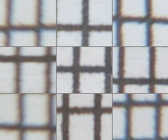 Fujifilm X-S1: jedinečný