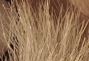 Olympus OM-D E-M5: elegantní fotokladivo