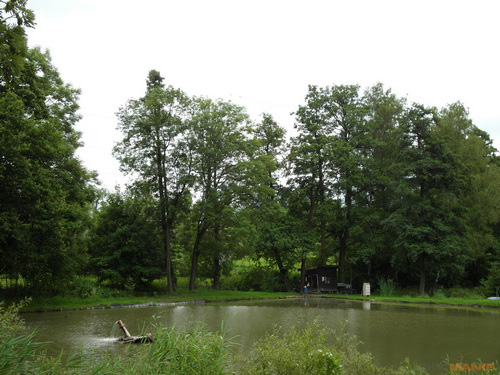 Samsung WB2000: stylová bomba