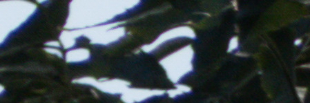 Panasonic Lumix FZ300: opět na špici