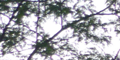 Panasonic Leica DG Summilux 25mm/F1.4 ASPH.