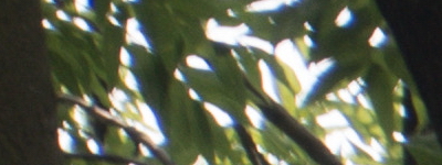 Tamron 16-300mm f/3.5-6.3 Di II VC PZD Macro