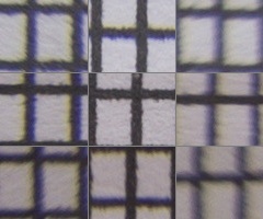 Sony SAL-1855 (DT 18-55mm F3,5-5,6 SAM)