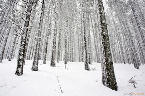 Fotíme s Koalou: Sníh