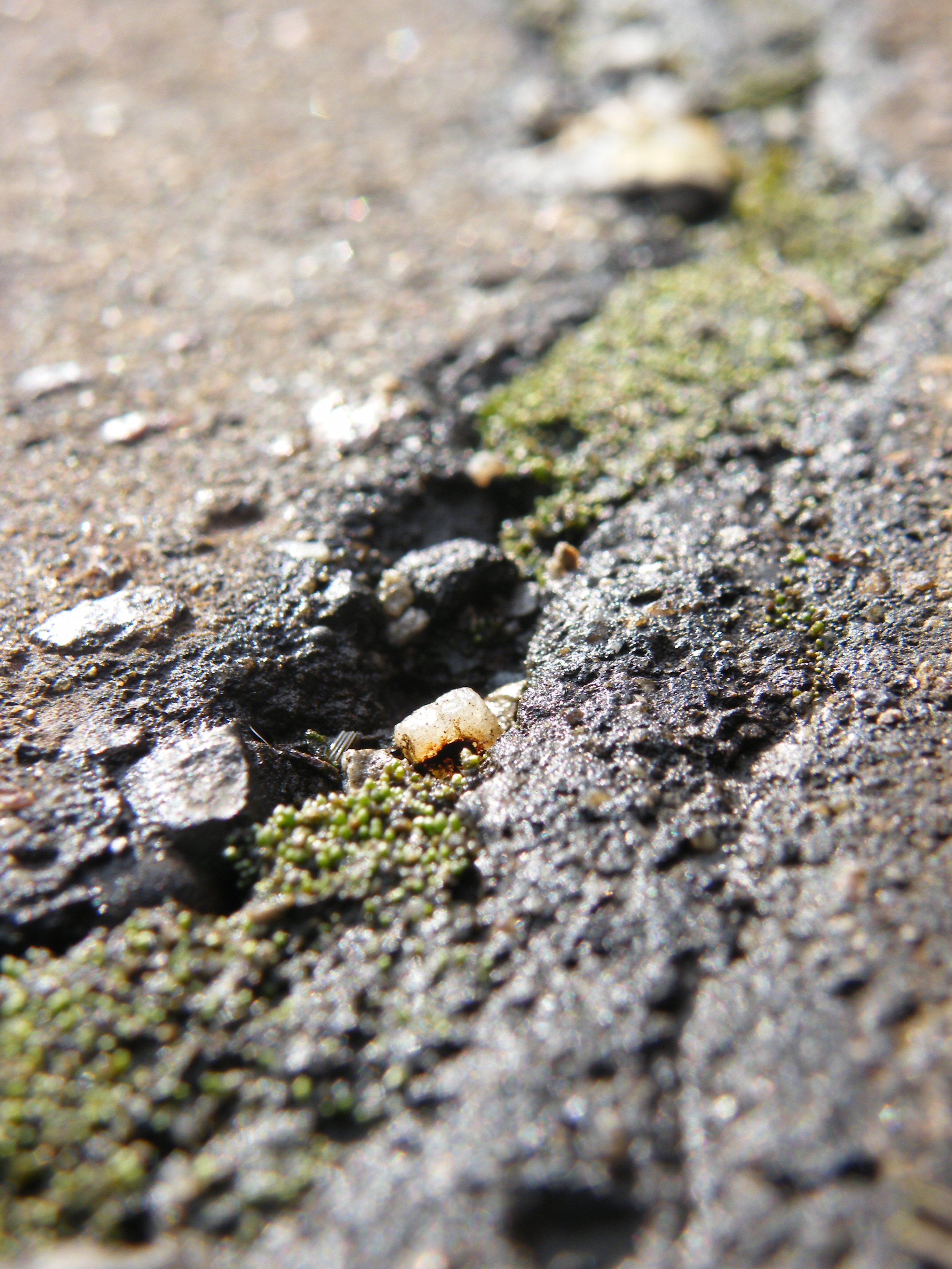 FinePix S8100fd: mají se ostatní ultrazoomy bát?