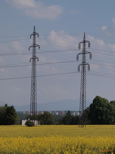 Olympus M.Zuiko Digital 40-150 mm F4-5,6 + nová R verze