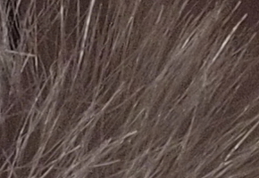 Olympus PEN E-P3: král všech PENů