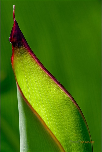 Stativ - nejlepší přítel fotografa