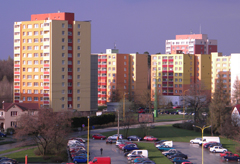 Nikon Coolpix L100: lovec hmyzu