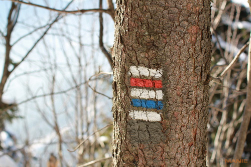 Srovnávací test pevných 50mm objektivů