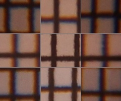 Canon EOS 550D: třídní premiant