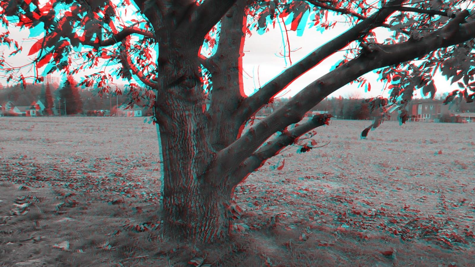 Panasonic Lumix FZ72: nejširší i nejdelší