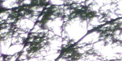 Panasonic Leica DG Summilux 25mm/F1.4 ASPH.