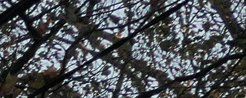 Panasonic Lumix TZ200: kamarád na cesty