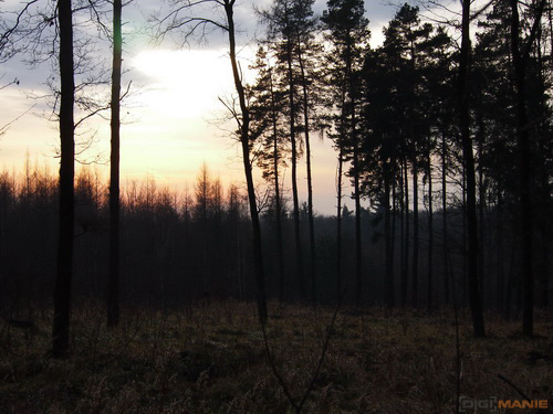 Olympus M.Zuiko Digital 40-150 mm F4-5,6 + nová R verze