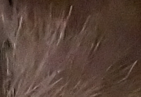 Sony a3000 (ILCE-3000): CSC co nejlevněji