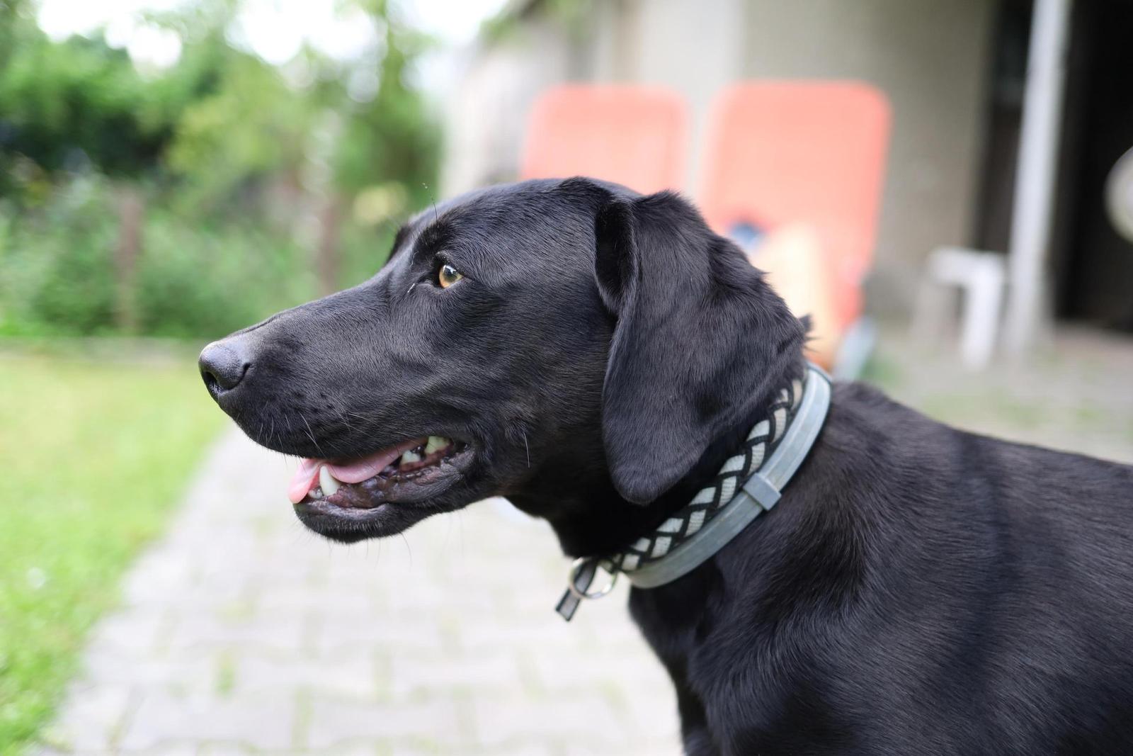 Canon EF 35mm f/2 IS USM