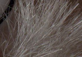 Sony SLT-A58: silný základ