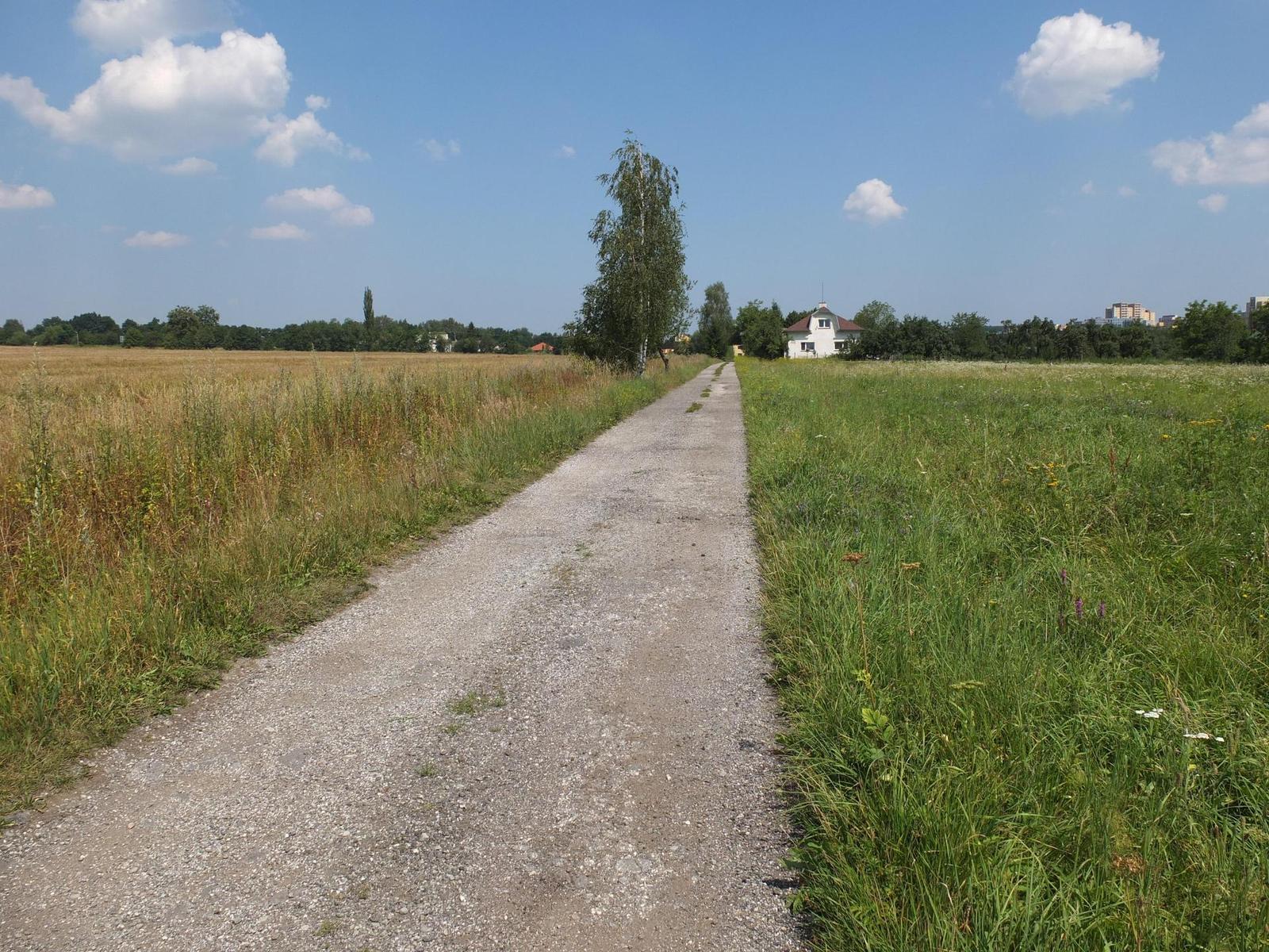 Fujifilm X10: retroborec