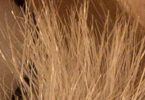 Olympus OM-D E-M5: elegantní fotokladivo