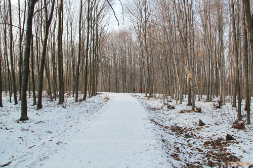 Megatest ultrazoomových objektivů