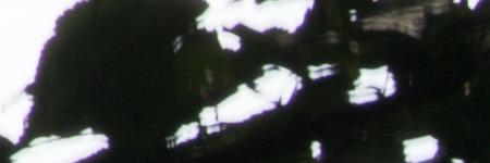 Nikon AF-S DX NIKKOR 55-200mm f/4-5.6G IF-ED VR