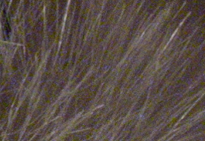 Olympus PEN E-P3: král všech PENů