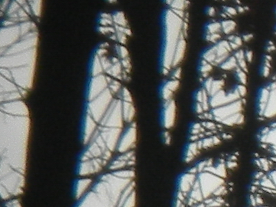 Nikon Coolpix S1100pj: kino v kompaktu