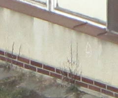 Canon PowerShot SX1 IS vs. SX10 IS: souboj CMOS a CCD