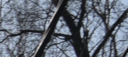 Nikon AF-S DX NIKKOR 16-85mm f/3.5-5.6G ED VR