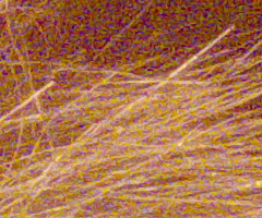 Panasonic Lumix FZ45 a FZ100: na vrcholu