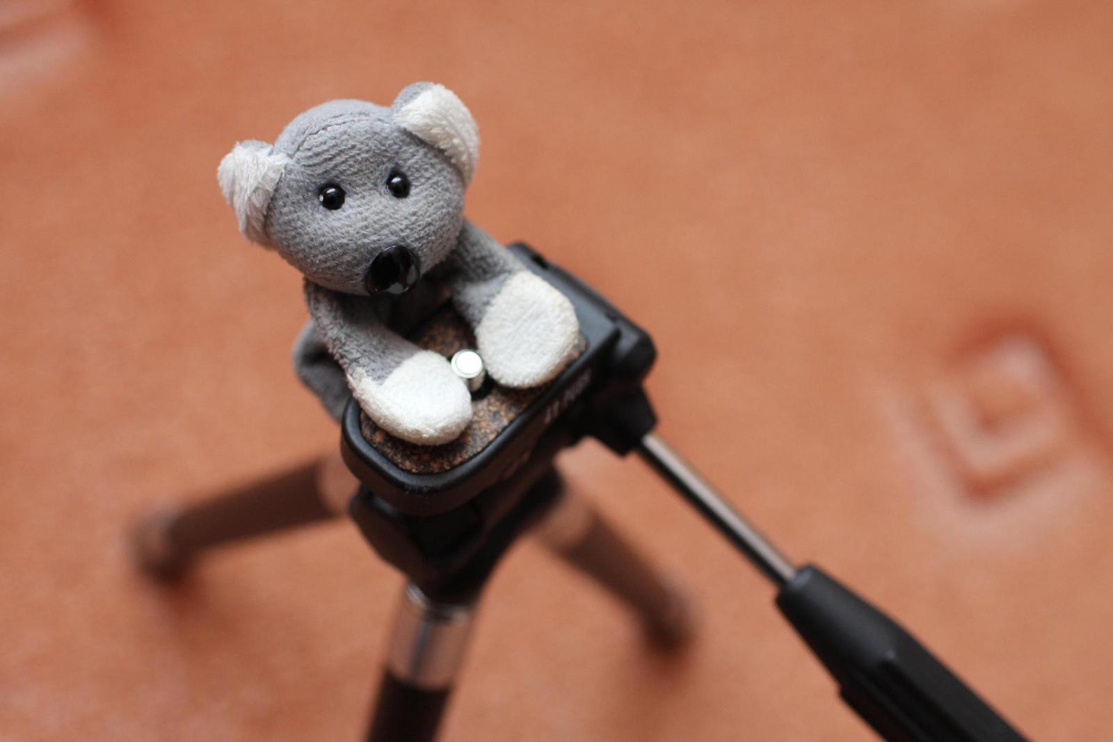 Canon EF 35mm f/1.4L USM