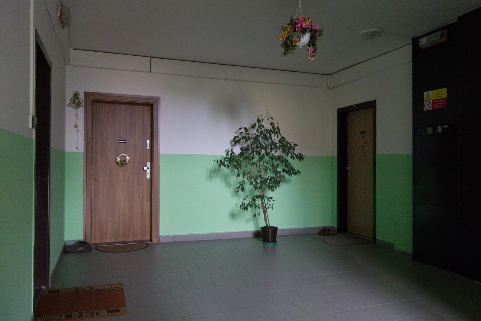 DSLR vs kompakt: Canon EOS 1200D s 18-55mm, Sony RX100