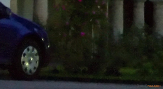 Zoner Photo Studio 15 PRO