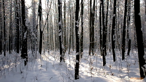 Samsung NX100: "zrcadlovka" do kapsy