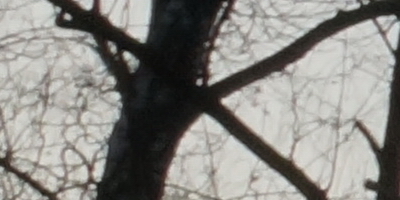 Sony DT 16-50mm F2.8 SSM