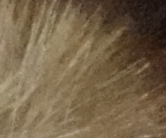 Sony Cyber-shot WX5: kompaktní klenot