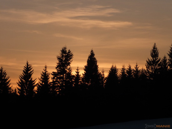 Fujifilm X-S1: jedinečný