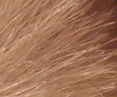 Olympus mju-7010: stylovka v růžovém