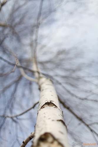 Canon EF 35mm f/1.4L USM