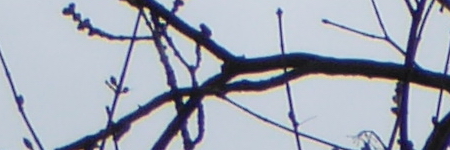 Panasonic Lumix TZ70: krůček k profi ultrazoomu