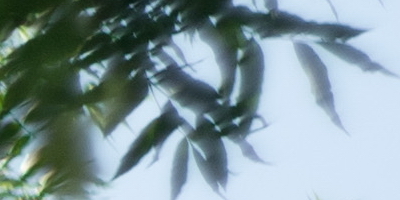 Helios-44M 58mm F2.0 (M42)