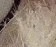 Sony A7R II (ILCE-7RM2): detaily na druhou