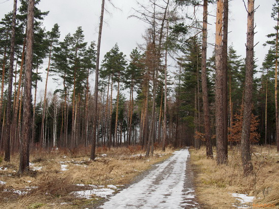 Olympus PEN E-PL5: s výkonnějším srdcem