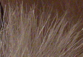 Samsung EX2F: významný krok vpřed