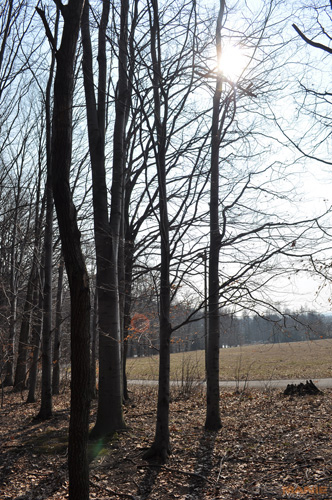 Dva objektivy nebo jeden ultrazoom?